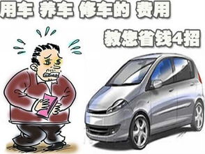 保养汽车多少钱