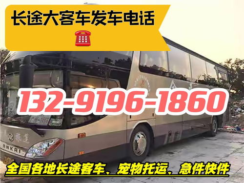 泸定到宜宾汽车是多少钱
