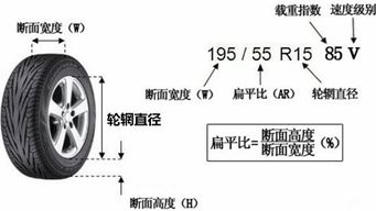 汽车宽度怎么算高多少