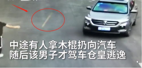 邯郸汽车监控多少钱