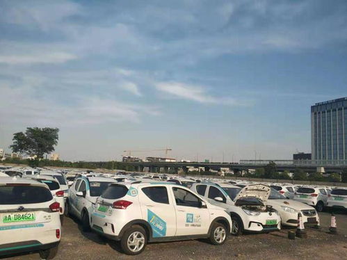 东莞有多少辆共享汽车