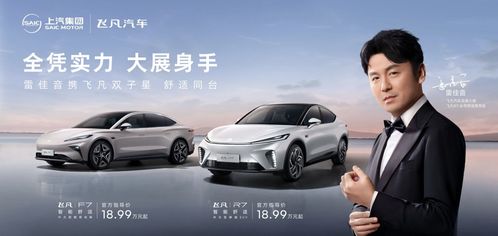 飞凡汽车慢充功率是多少