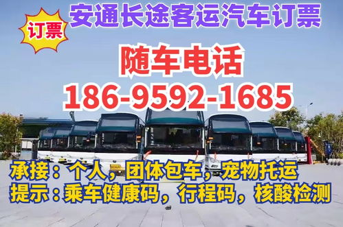 深圳到江门汽车票多少钱