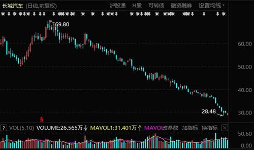 东方汽车的股价是多少