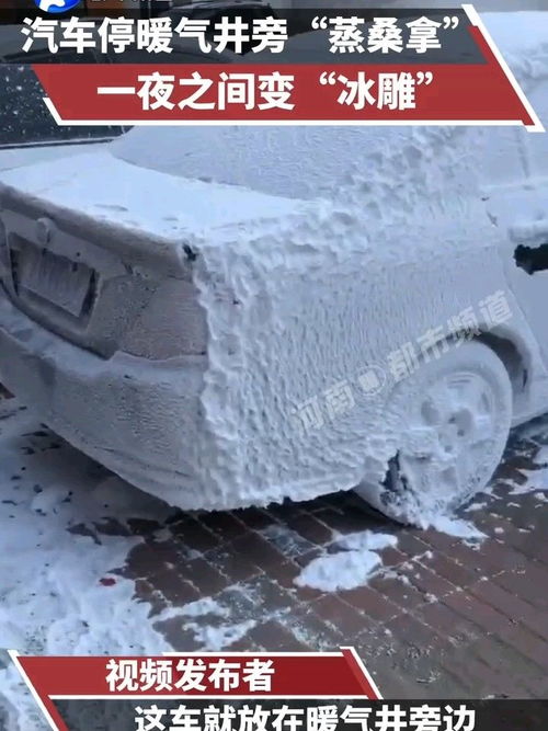 汽车蒸桑拿多少钱