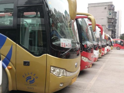 馆陶到聊城汽车票价多少