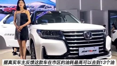 国产汽车油耗大吗多少