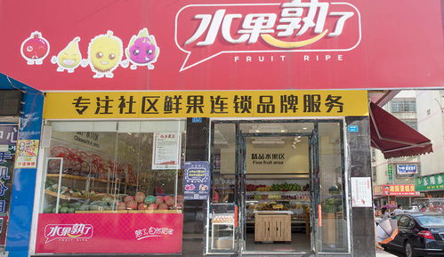 汽车店贴个拉花多少钱