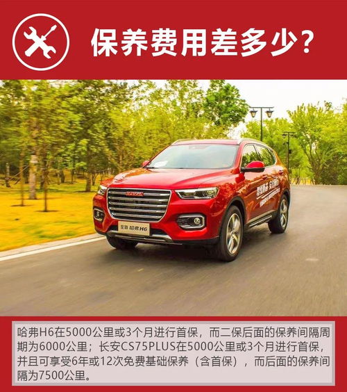 哈弗汽车保养多少钱