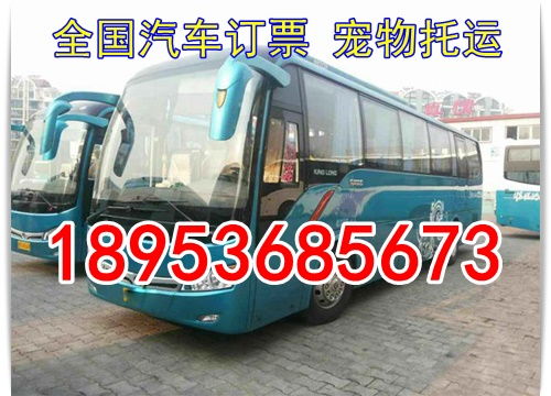 忠庄至贵阳汽车多少钱