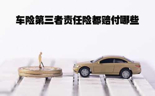 汽车第三者保险多少钱