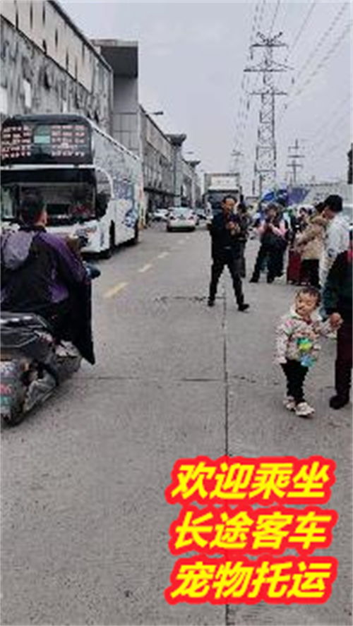 达州到平昌汽车多少钱