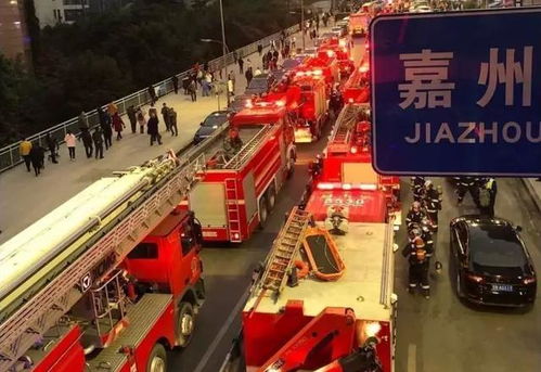 重庆每年汽车起火多少人