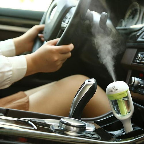 汽车用的加湿器多少钱