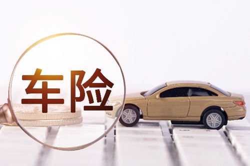 汽车保险车损险多少钱
