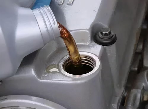 冬天汽车机油选多少w