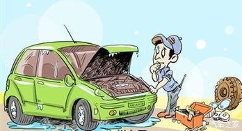 汽车维修基金怎么看多少