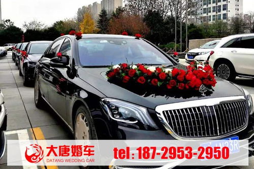 乐陵到陵县汽车多少钱