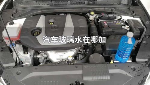 汽车后玻璃水加多少