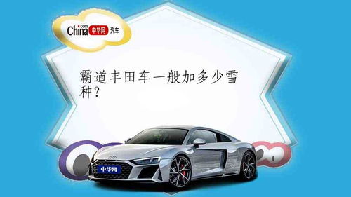 汽车加多少雪种好
