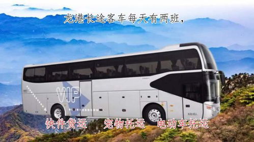 苍南到泰顺汽车多少钱