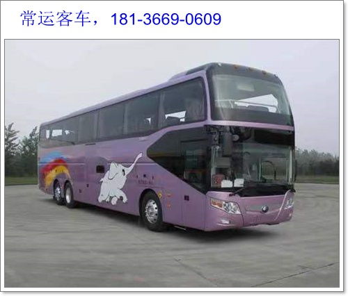 郑州到滑县汽车多少钱