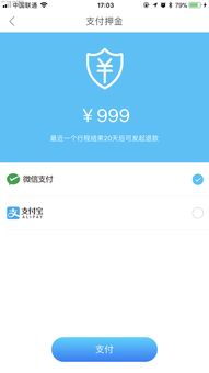 共享汽车投放昆明多少钱