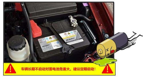 汽车电瓶桩直径是多少