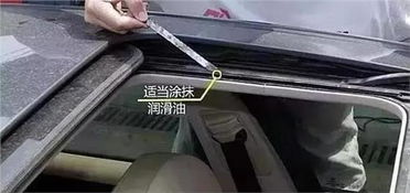 汽车天窗边缘清理多少钱