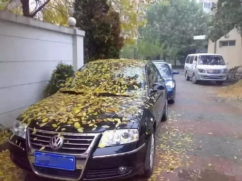 汽车每天跑多少公里好