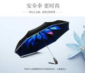 喜途汽车安全伞多少钱