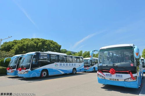 武汉一共有多少路公汽车