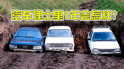 老外测试汽车载重多少
