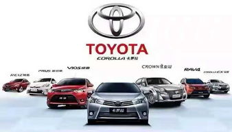 四川会理有多少汽车