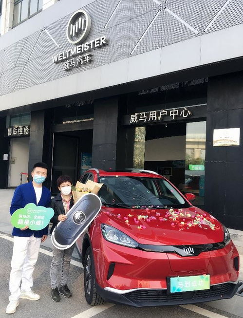 沛县新能源汽车有多少店