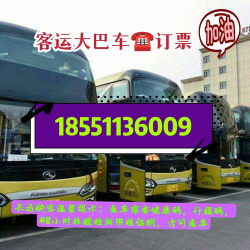 宁乡汽车总量有多少