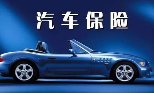 电动汽车上保险多少钱