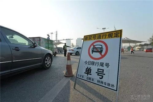 信阳唐河汽车多少钱