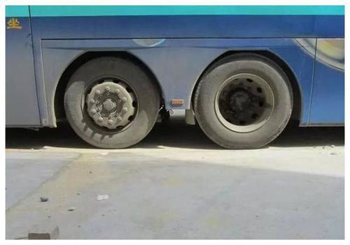 中国巨无霸汽车多少钱