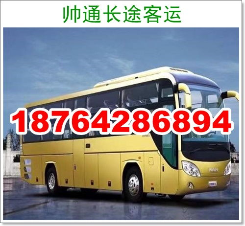 福鼎到洛阳汽车电话多少