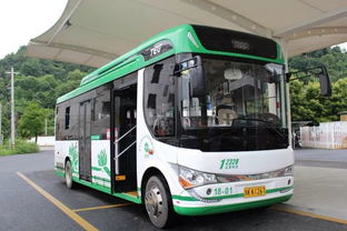 全新疆有多少公交汽车