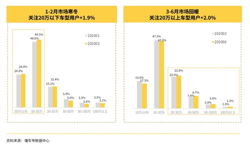 汽车天堂市场占比多少