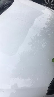 汽车滑痕补漆多少钱