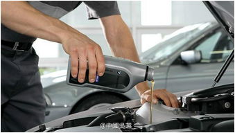 汽车保养器多少钱