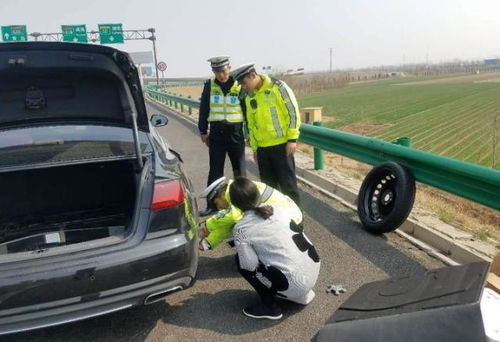 霸州紧急汽车拖车多少钱