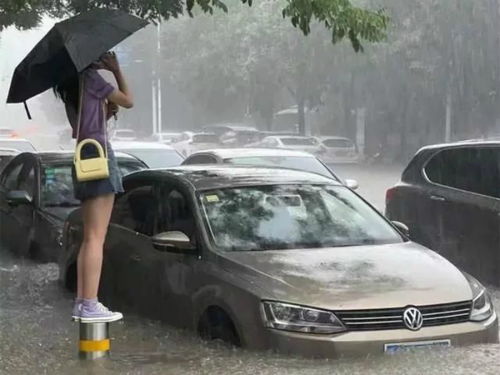 郑州燃油汽车保有量多少
