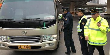 郑州有多少台斯科达汽车