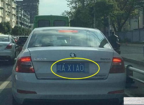 云南80年汽车牌照多少