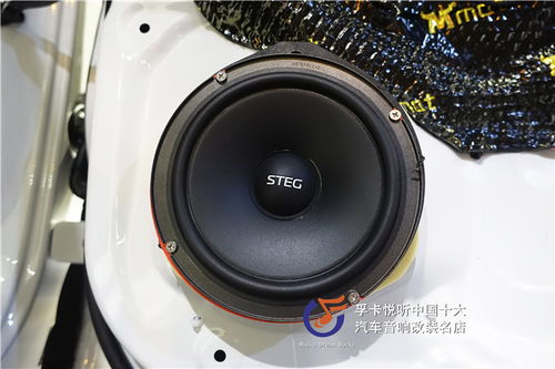 低速电动汽车喇叭多少伏