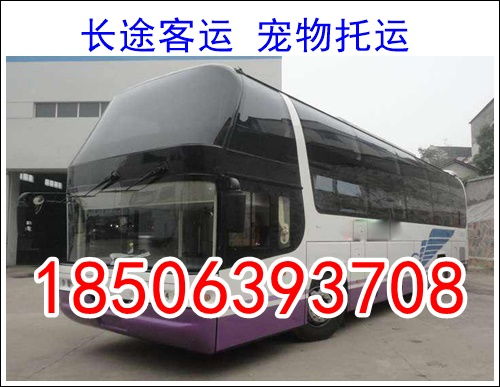 合肥到东至汽车多少钱
